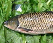 name